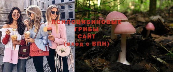винт Армянск